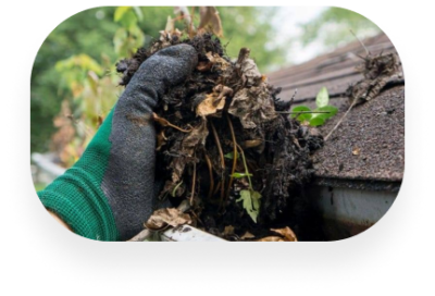 TX Gutter Expert
