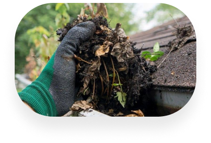 TX Gutter Expert